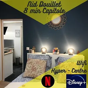  Apartamento Nid Douillet - 8 Min Capitole